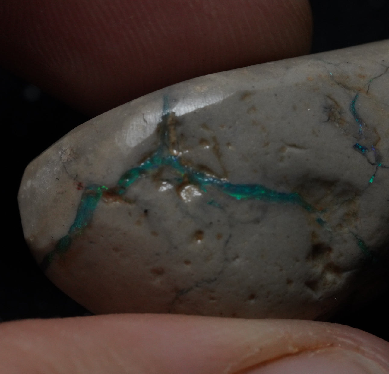 Free Australian Opal Specimen
