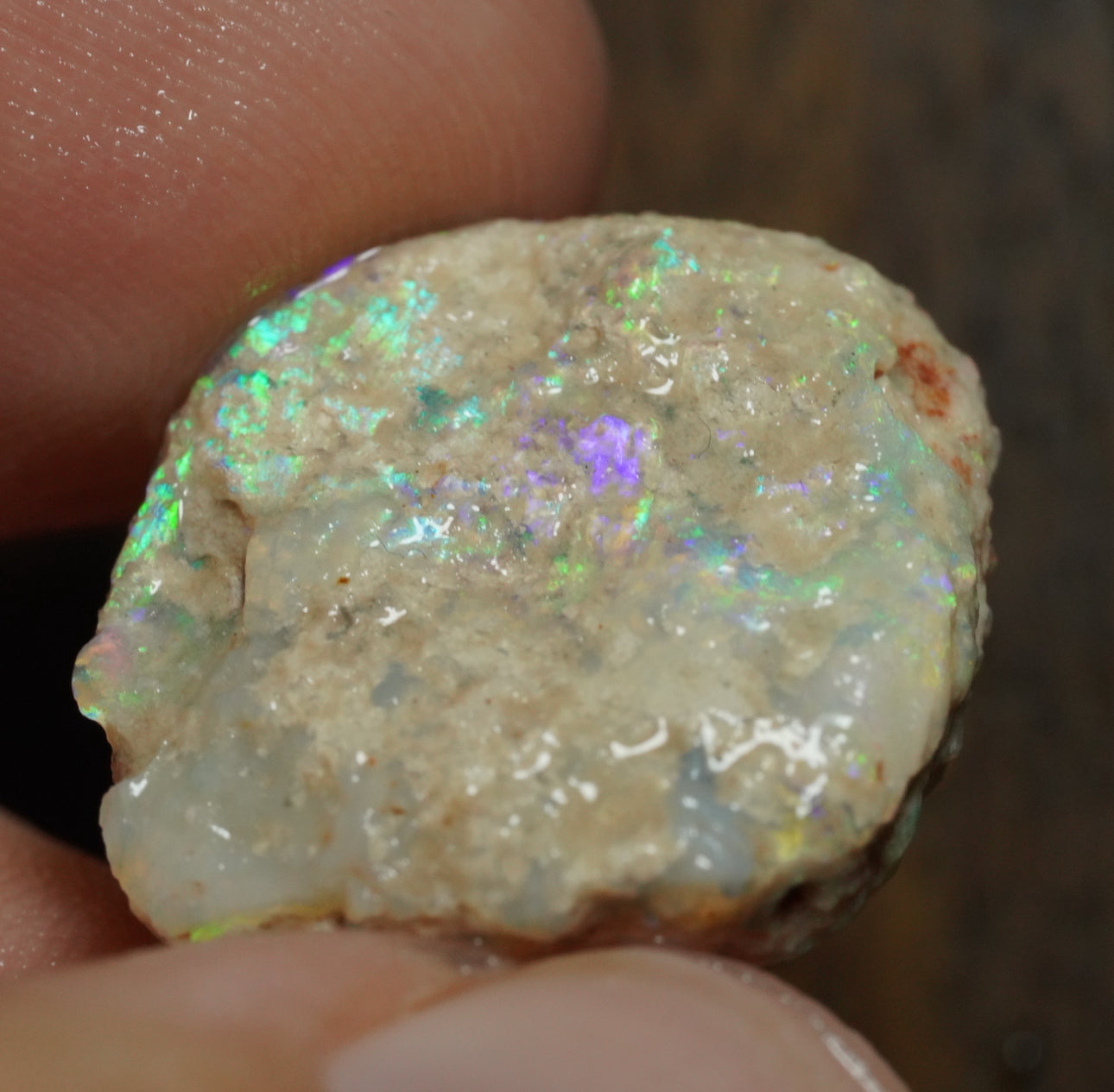 Free Australian Opal Specimen
