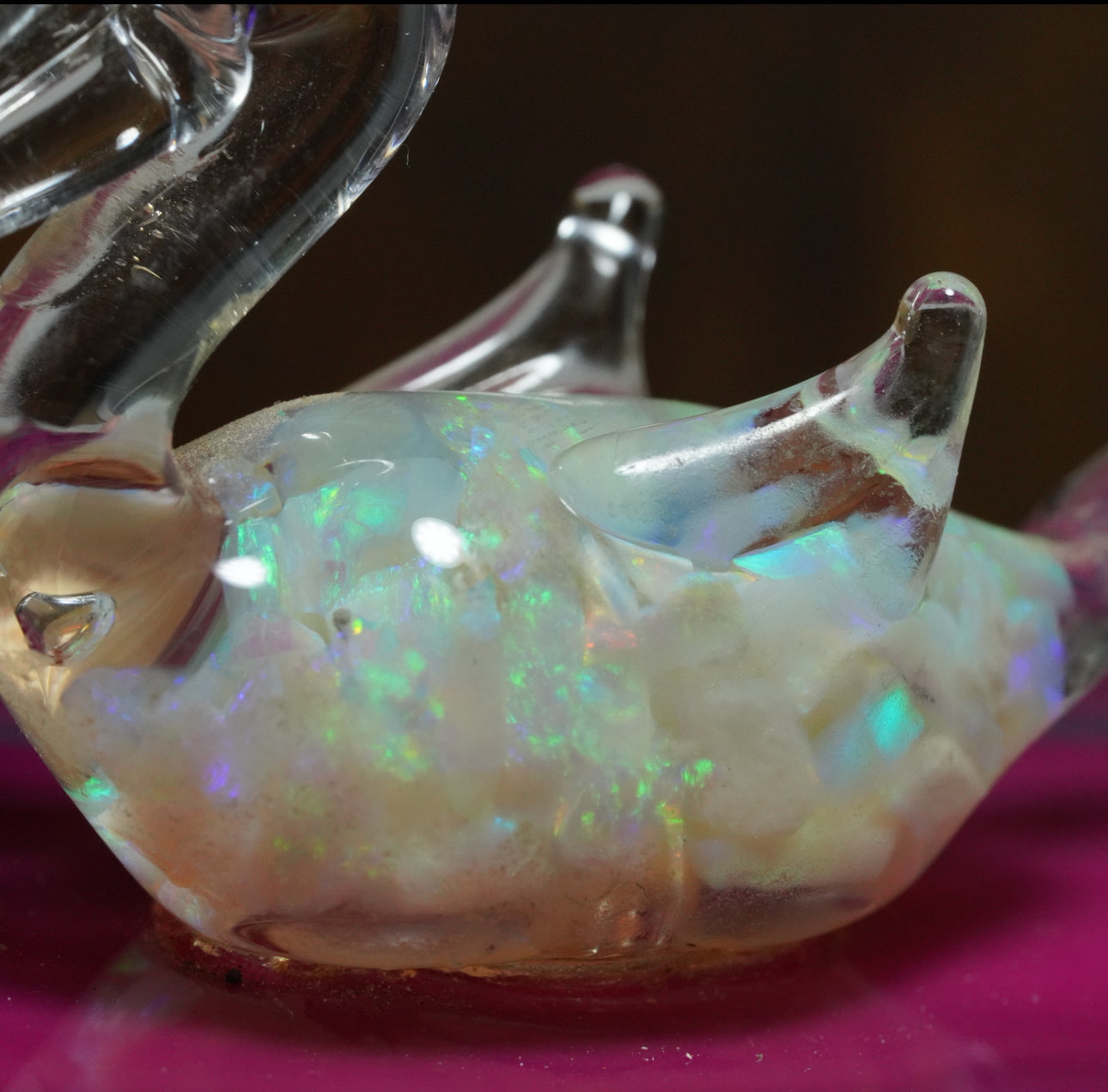 Free Australian Opal Pelican