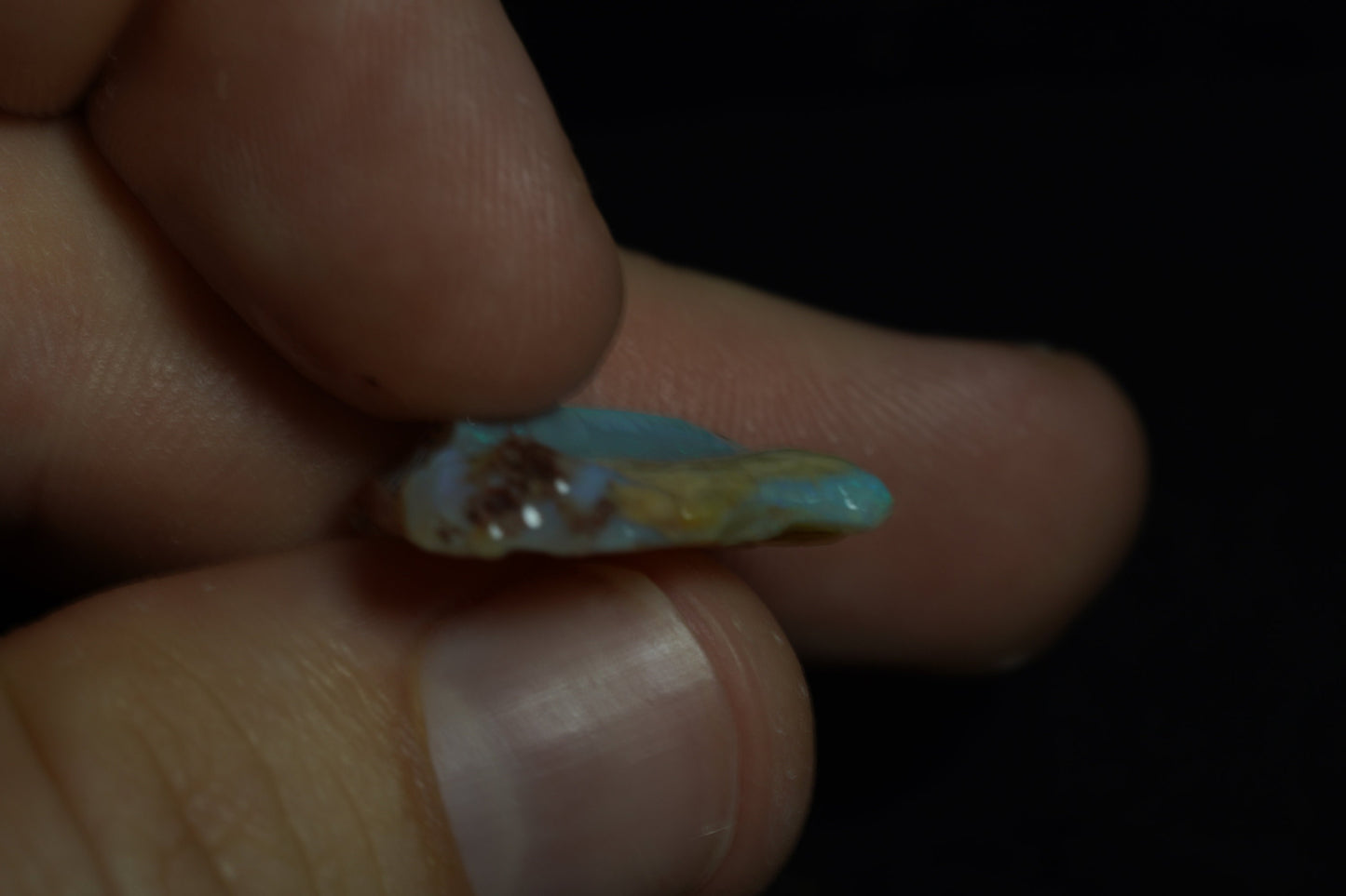 Rough Australian Opal