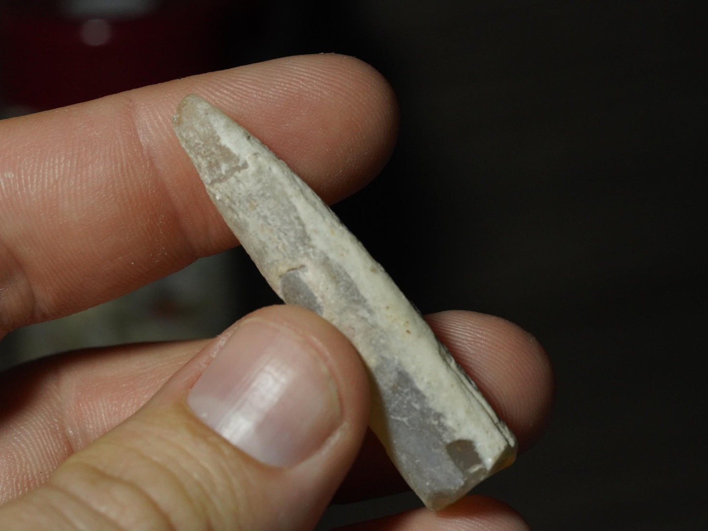Opal Belemnite