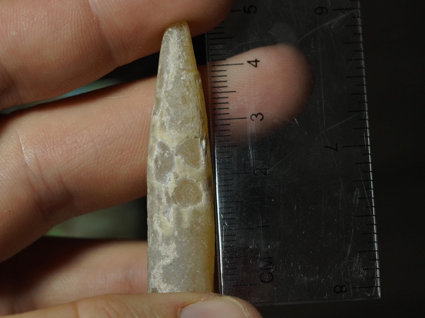 Opal Belemnite