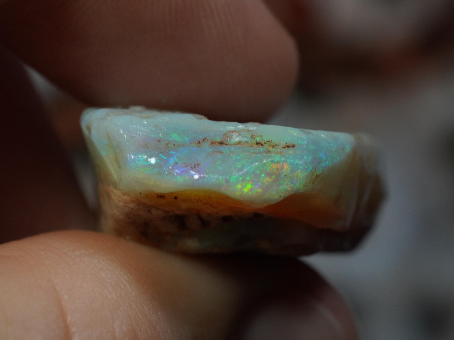 Rough Australian Opal
