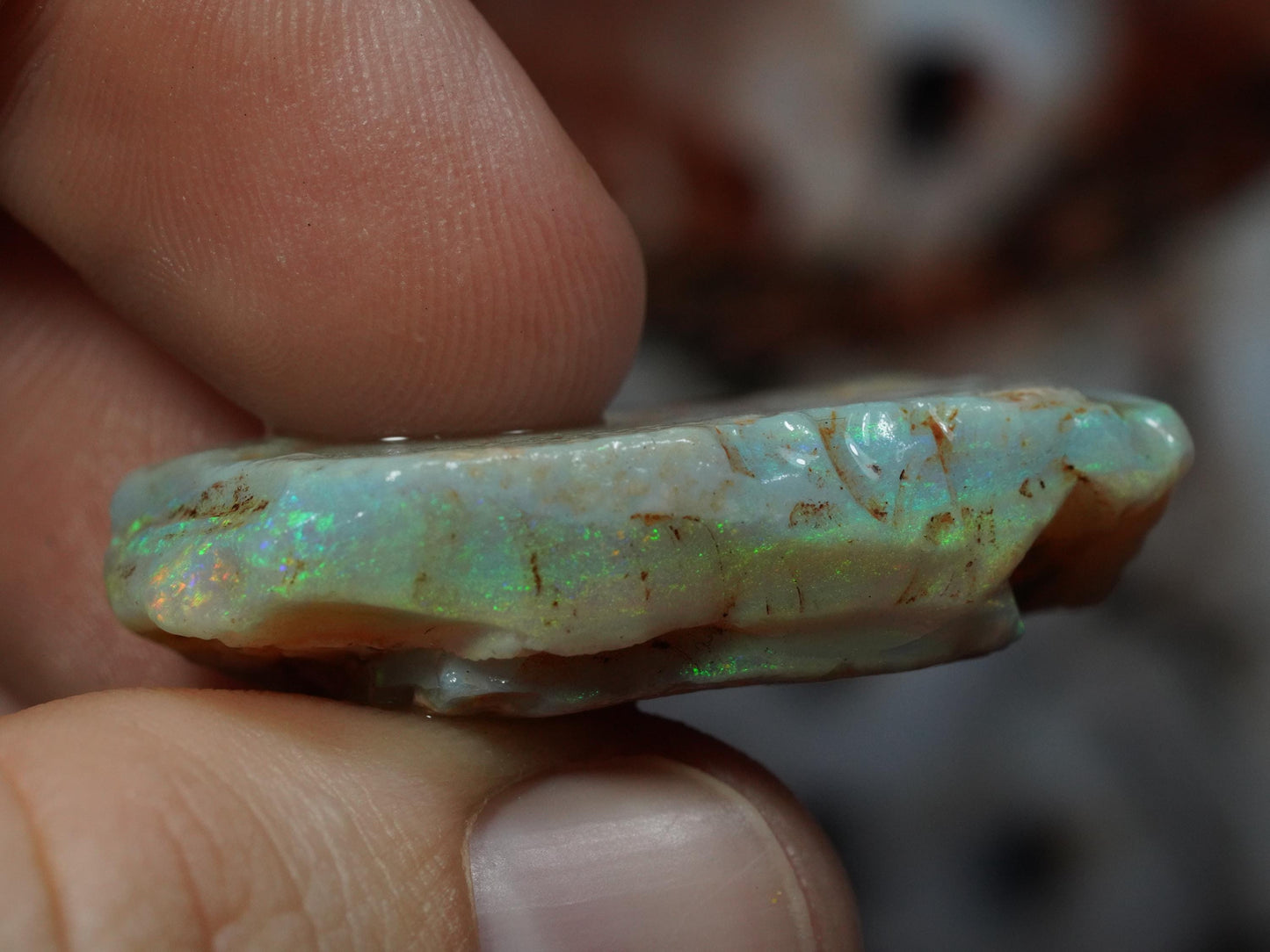 Rough Australian Opal