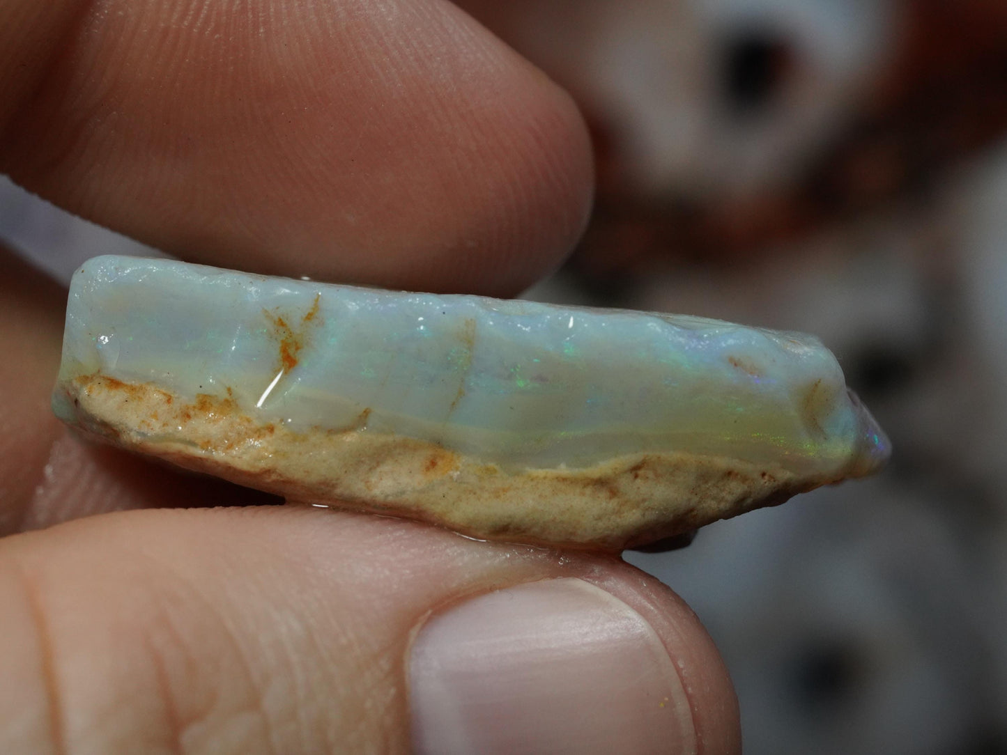 Rough Australian Opal