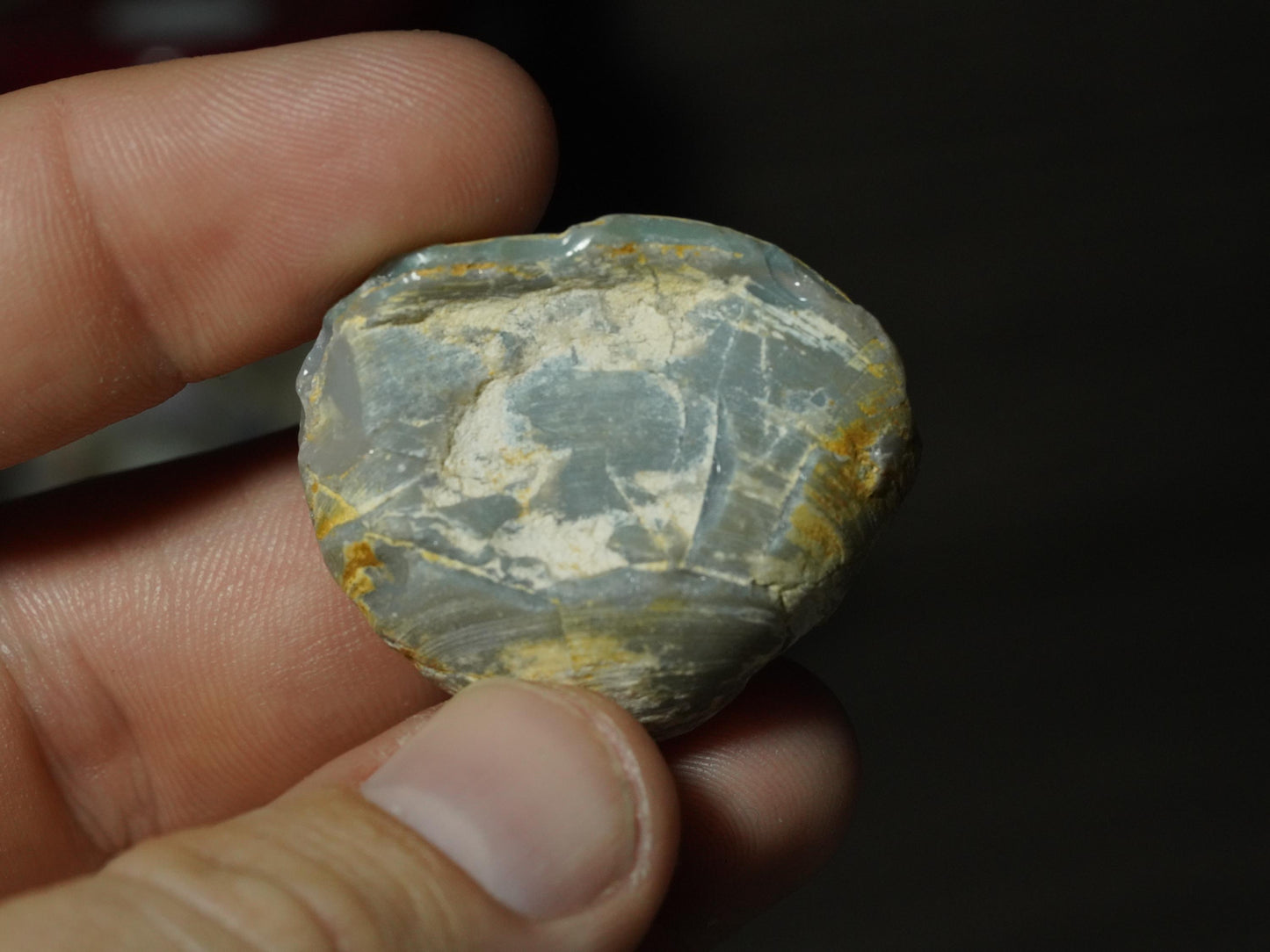 Opal Sea Shell Fossil
