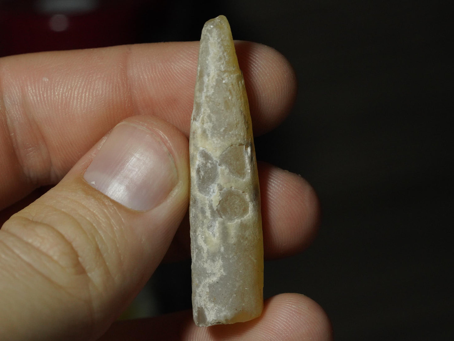 Opal Belemnite