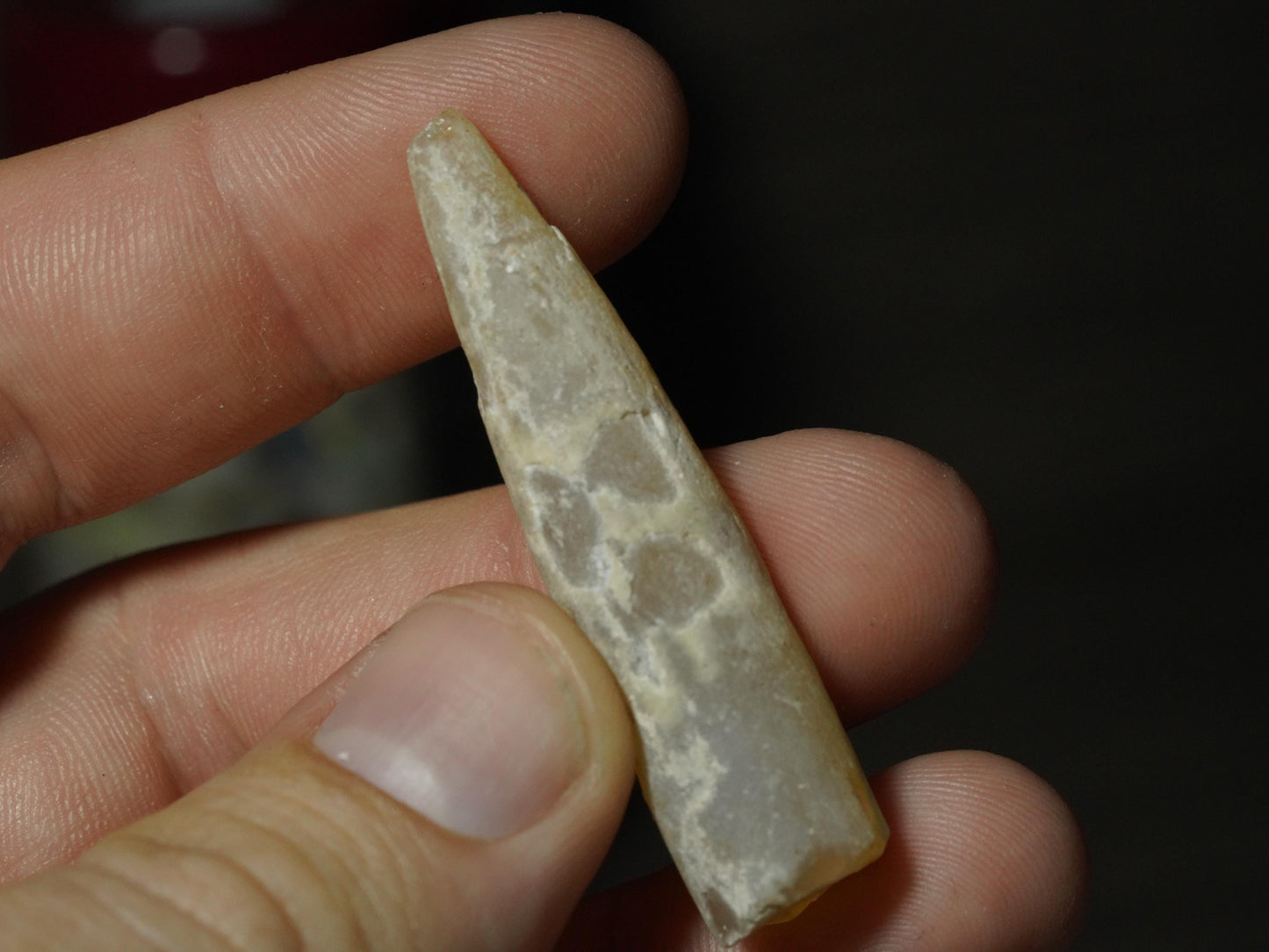 Opal Belemnite