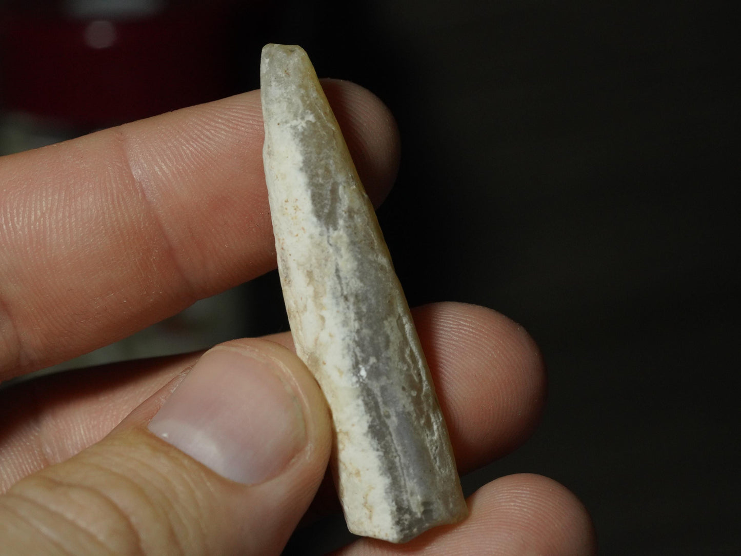 Opal Belemnite