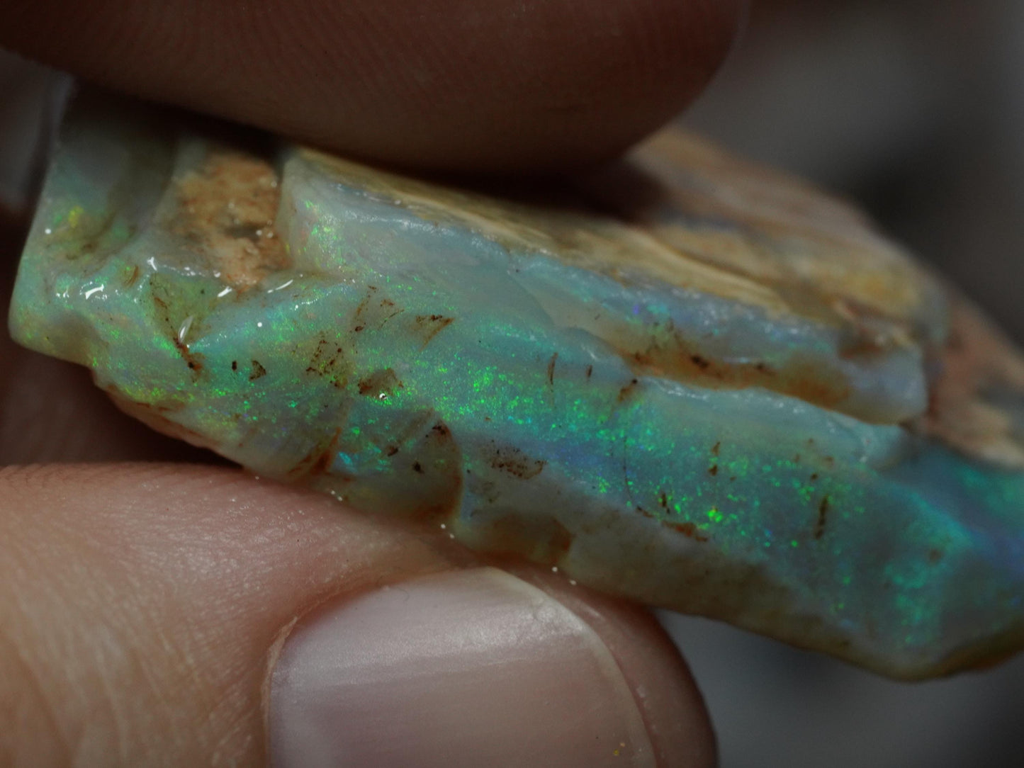 Rough Australian Opal