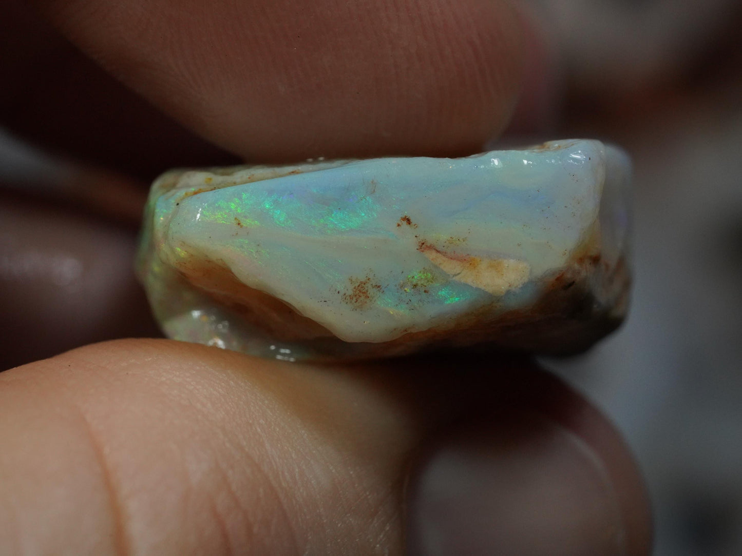 Rough Australian Opal