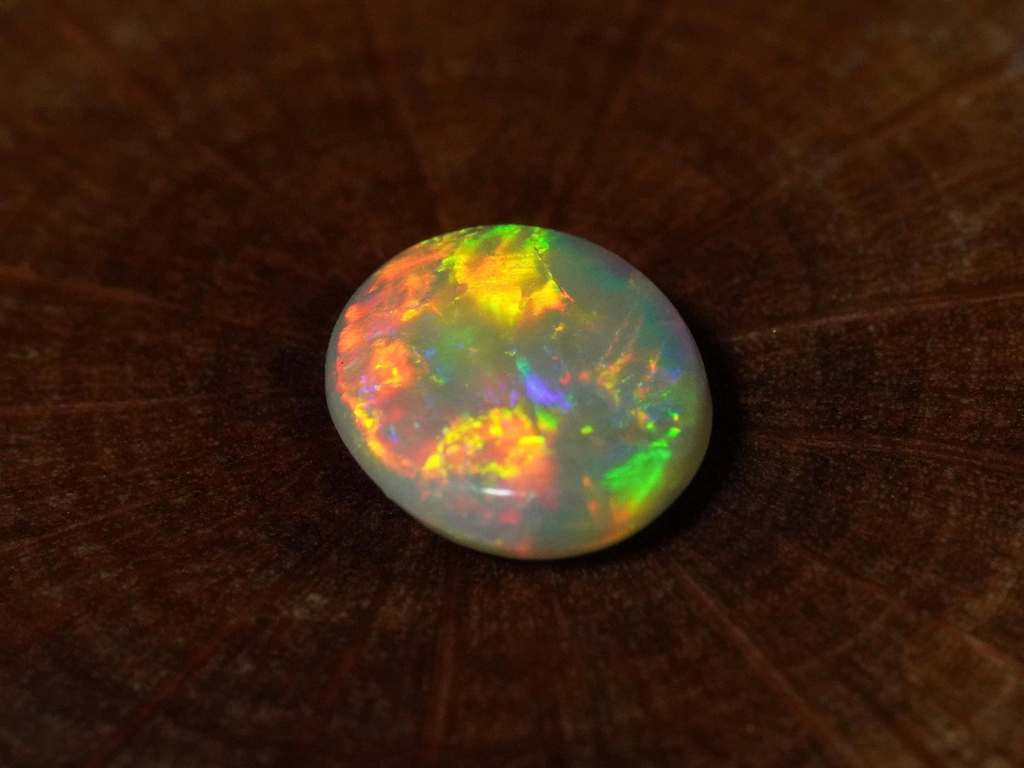 Australian Opal Cut Stones