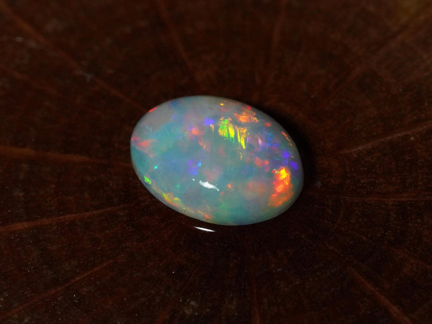 Australian Opal Cut Stones