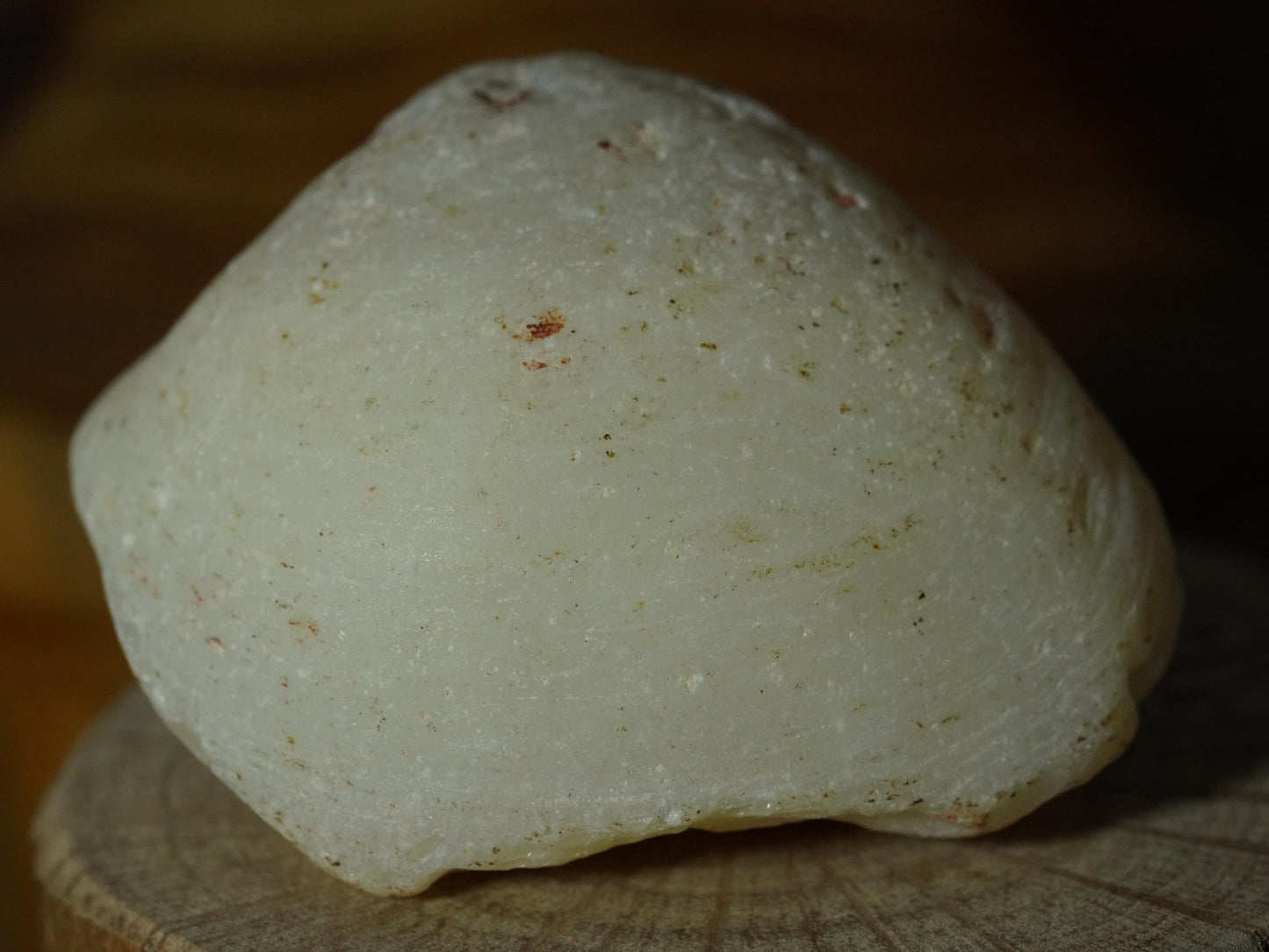 Opal Sea Shell Fossil