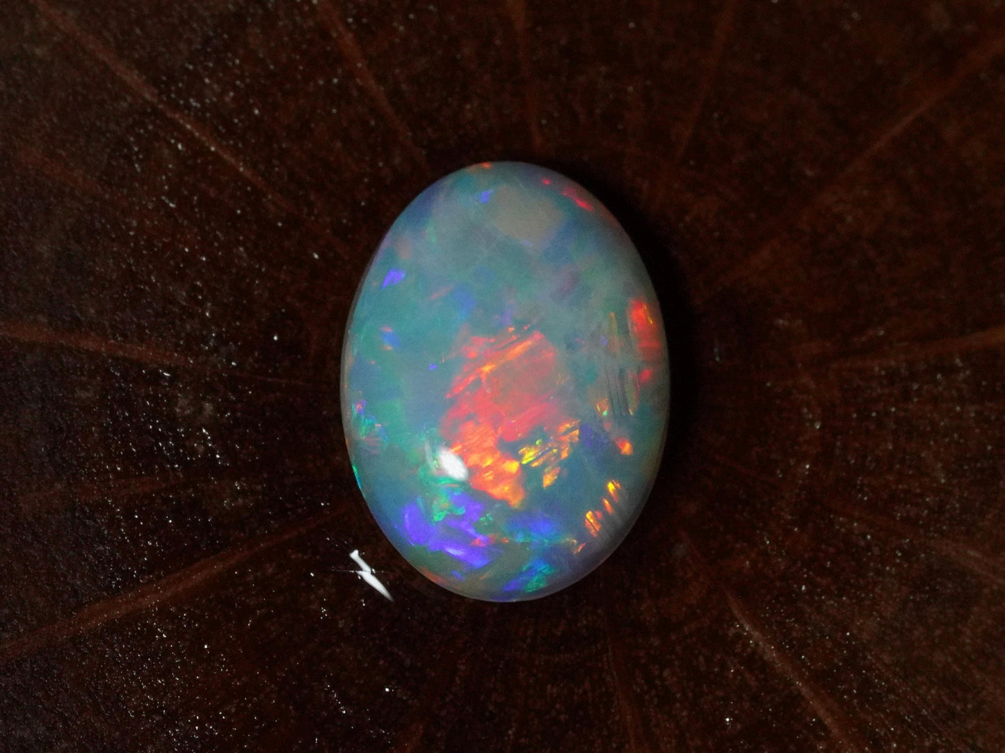 Australian Opal Cut Stones