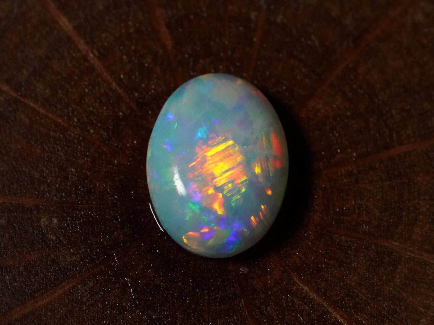 Australian Opal Cut Stones