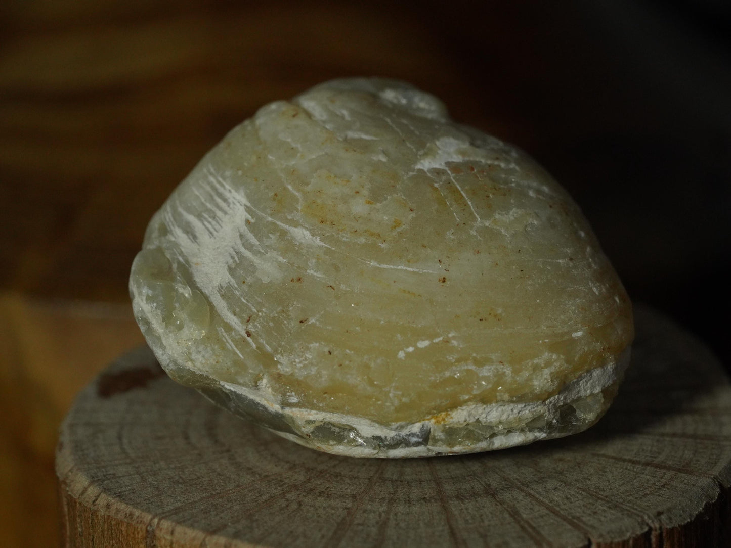 Opal Sea Shell Fossil