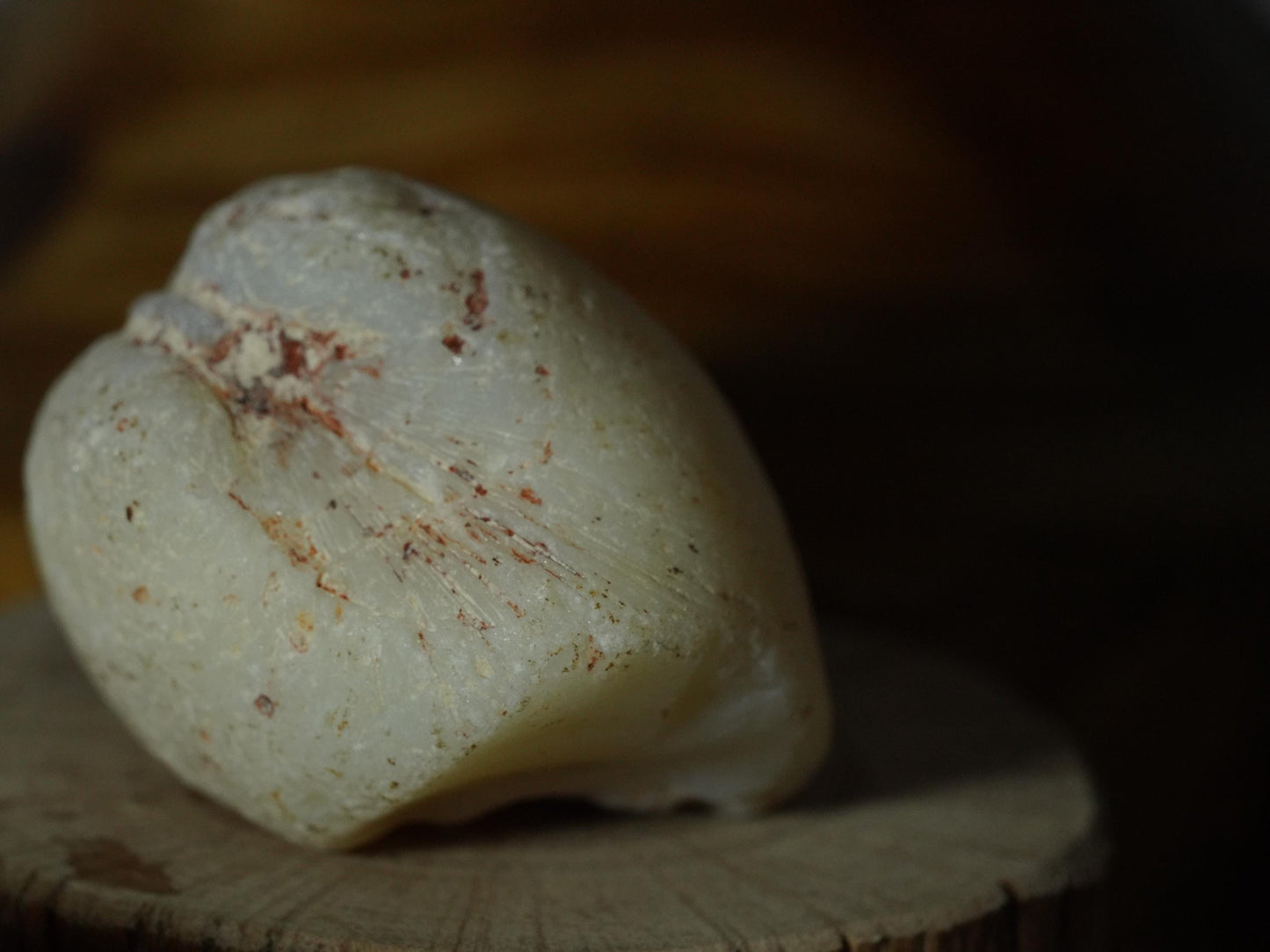 Opal Sea Shell Fossil
