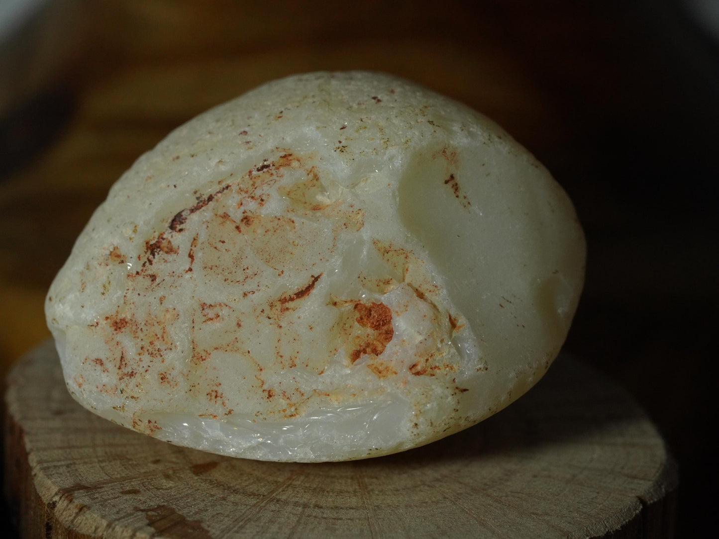 Opal Sea Shell Fossil