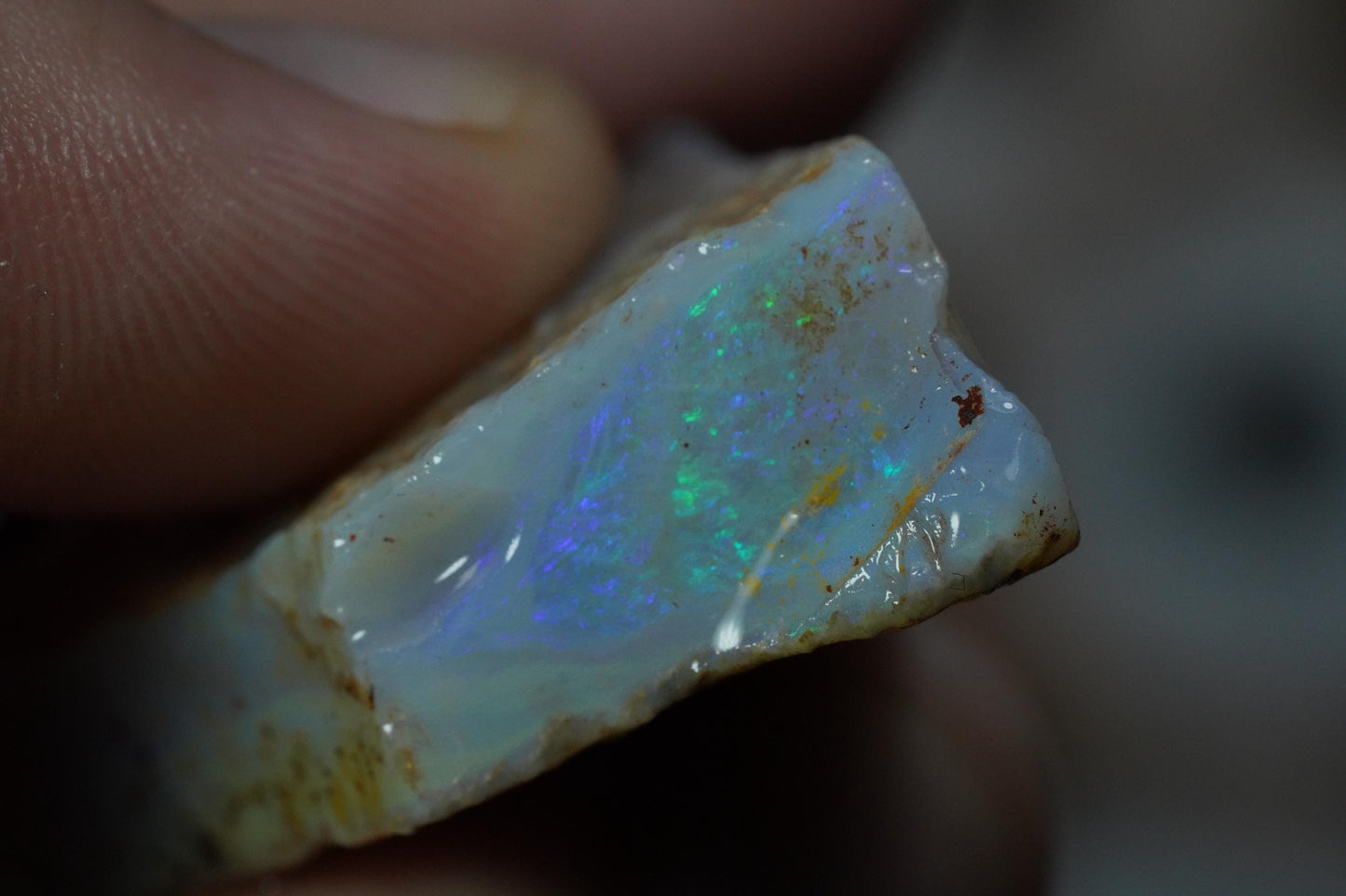 Rough Australian Opal