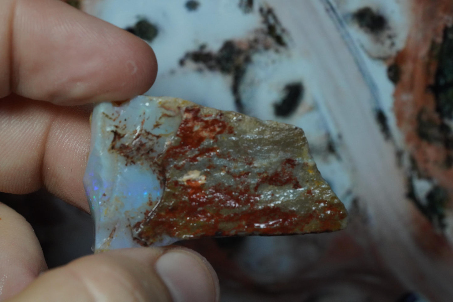 Rough Australian Opal
