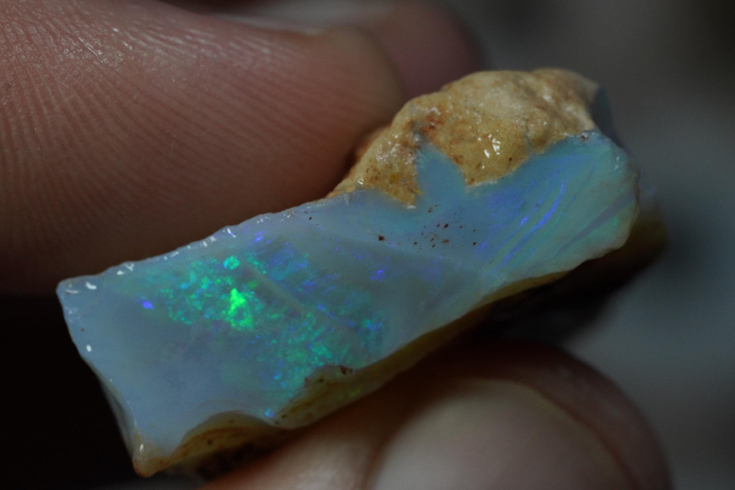 Rough Australian Opal
