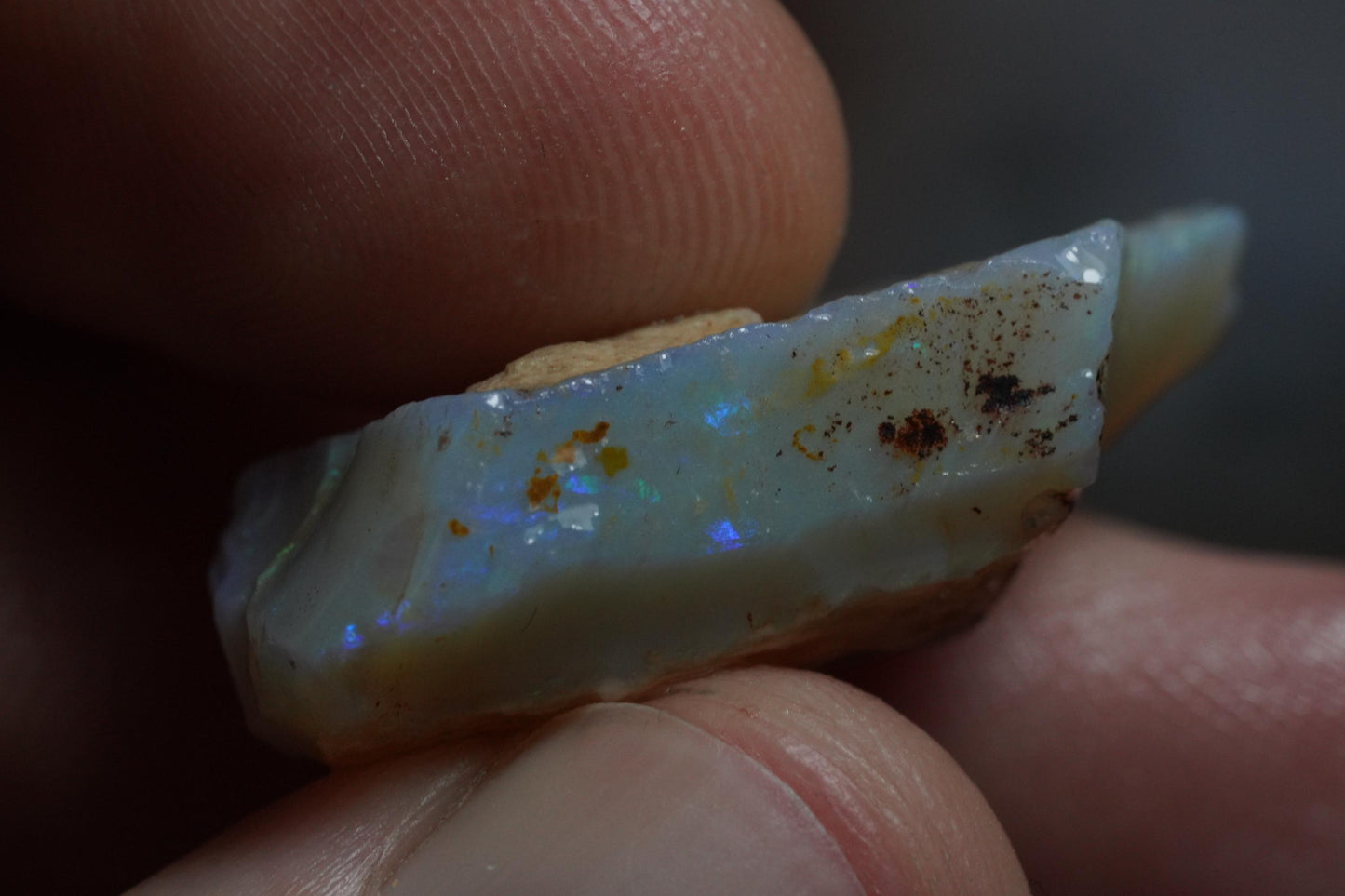 Rough Australian Opal