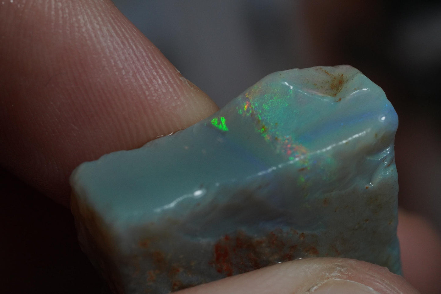 Rough Australian Opal