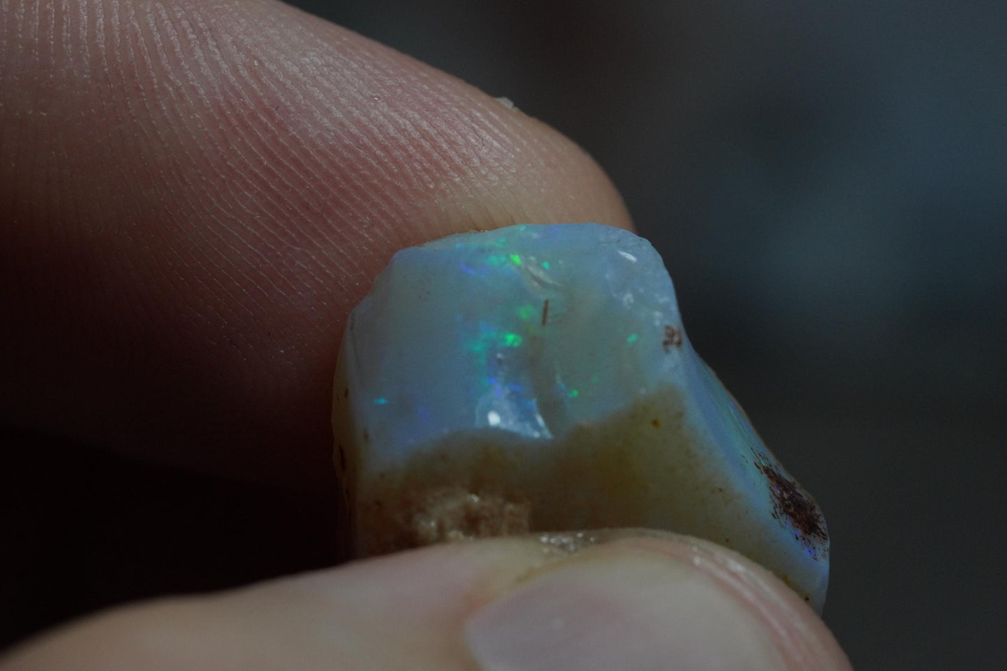 Rough Australian Opal
