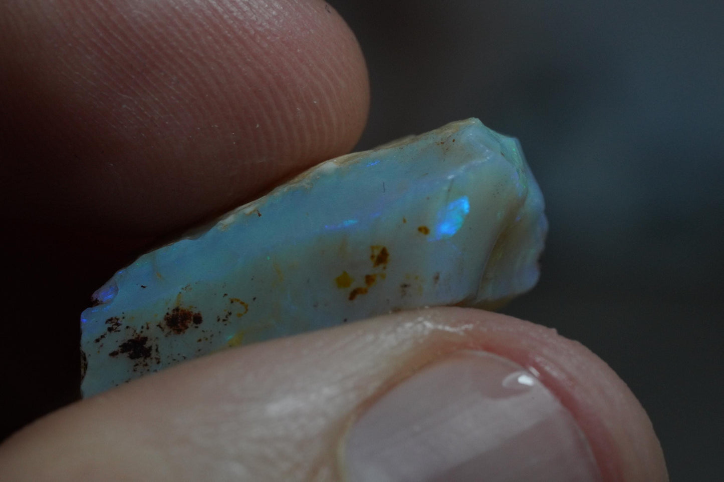 Rough Australian Opal