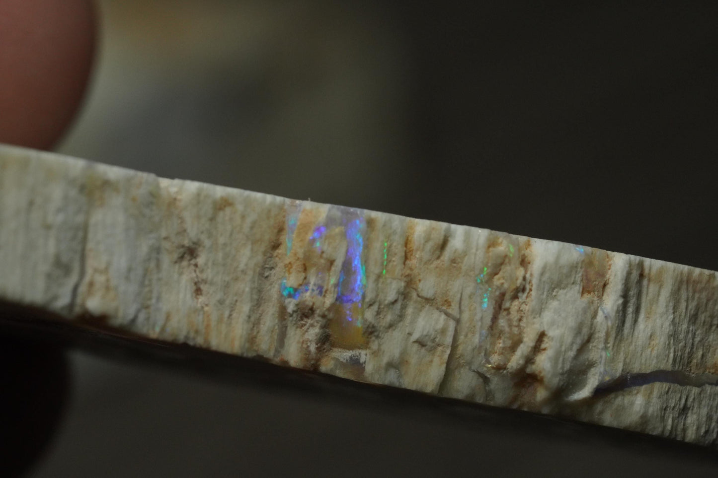 Petrified Opalised Wood Fossil Specimen
