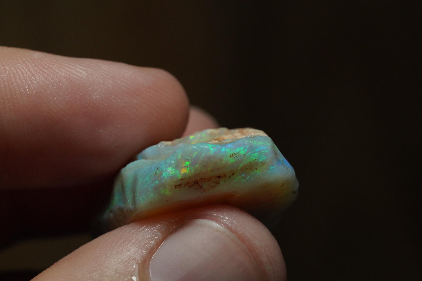 Rough Australian Opal