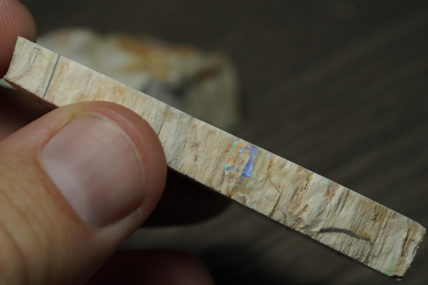 Petrified Opalised Wood Fossil Specimen