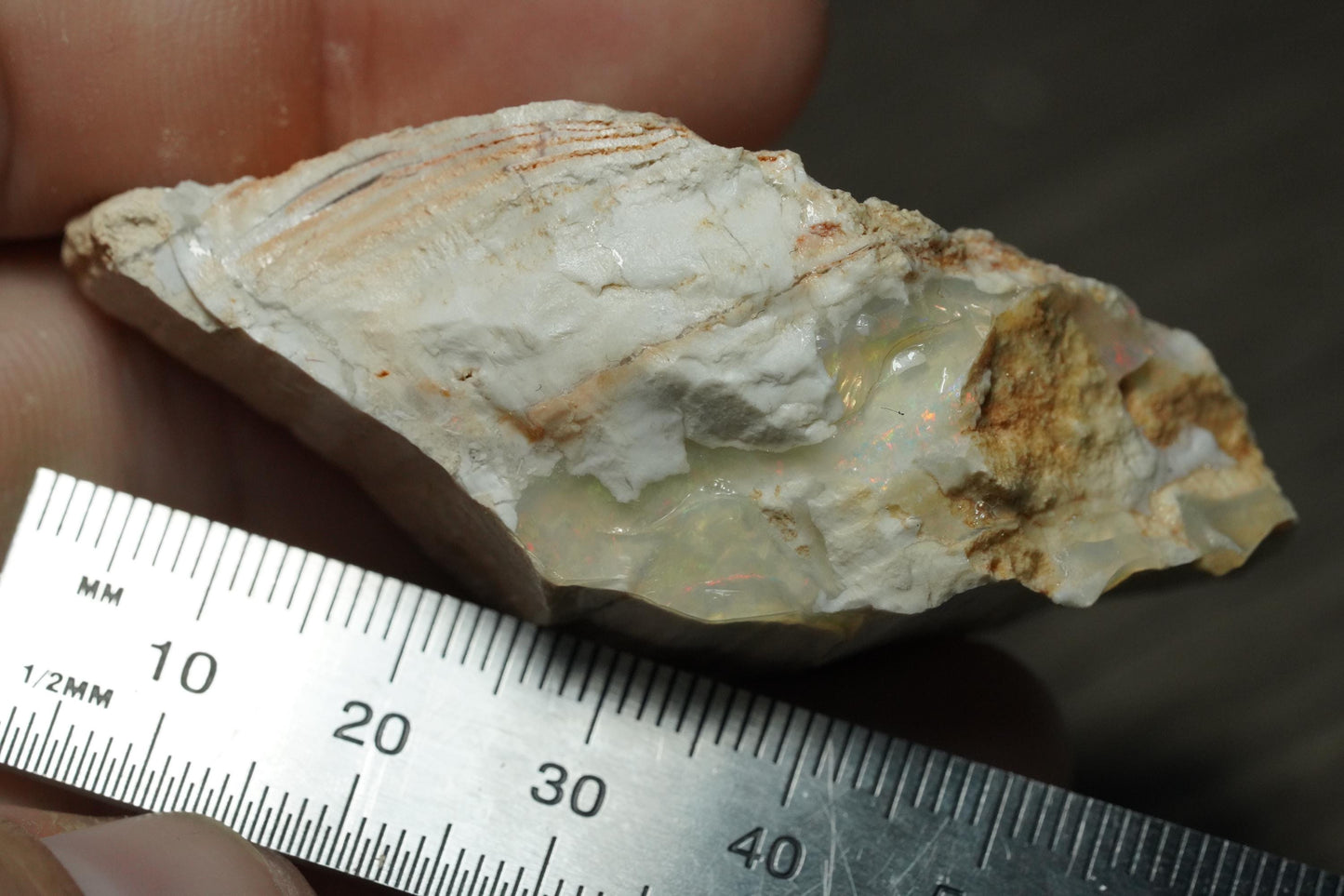 Petrified Opalised Wood Fossil Specimen