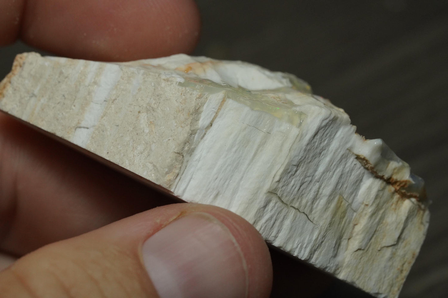 Petrified Opalised Wood Fossil Specimen