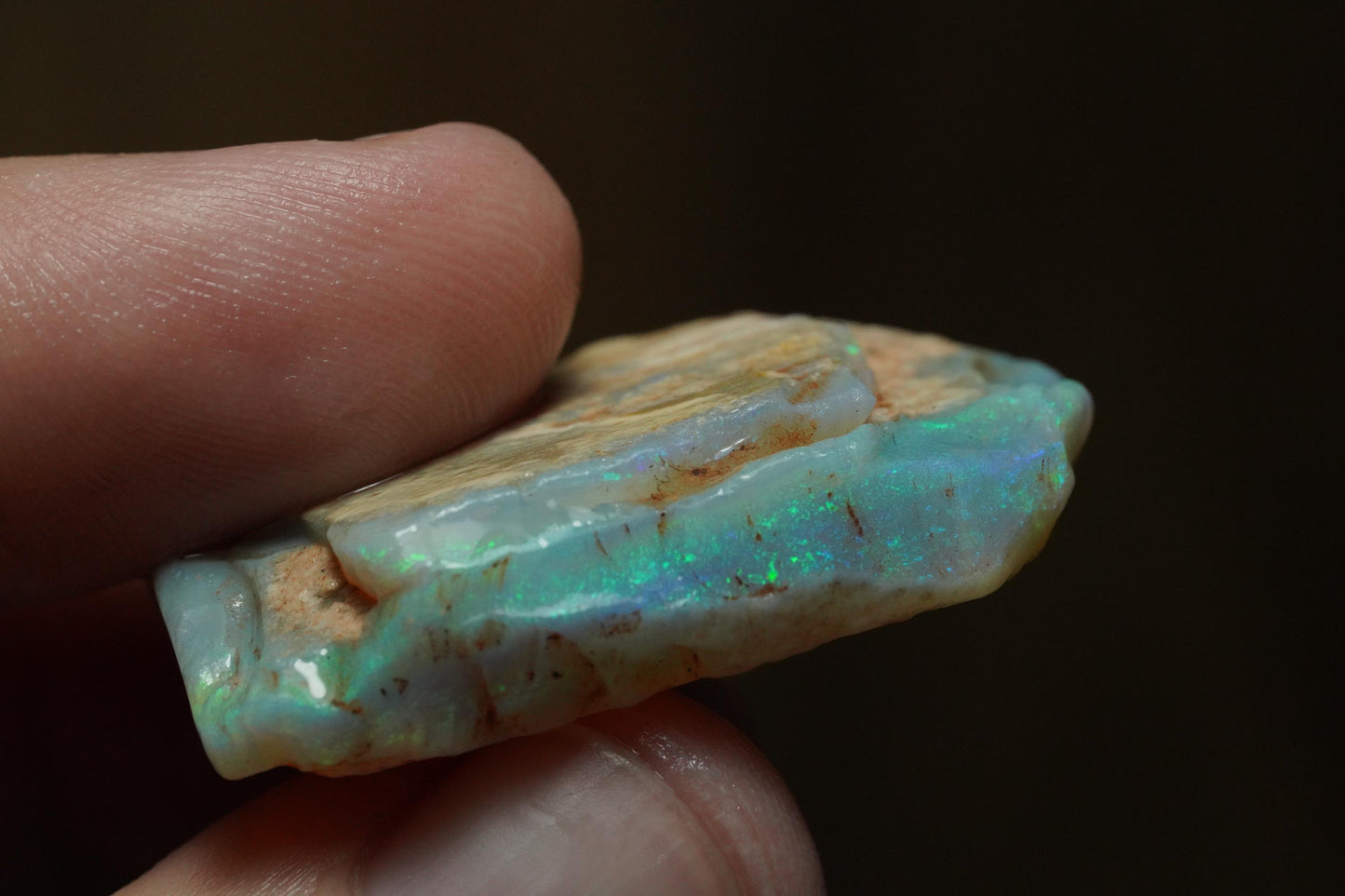 Rough Australian Opal