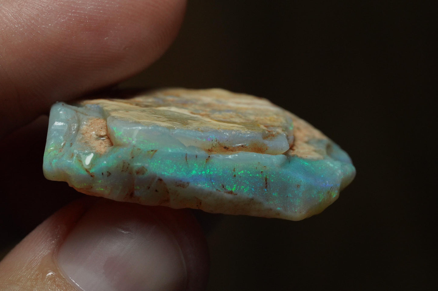 Rough Australian Opal