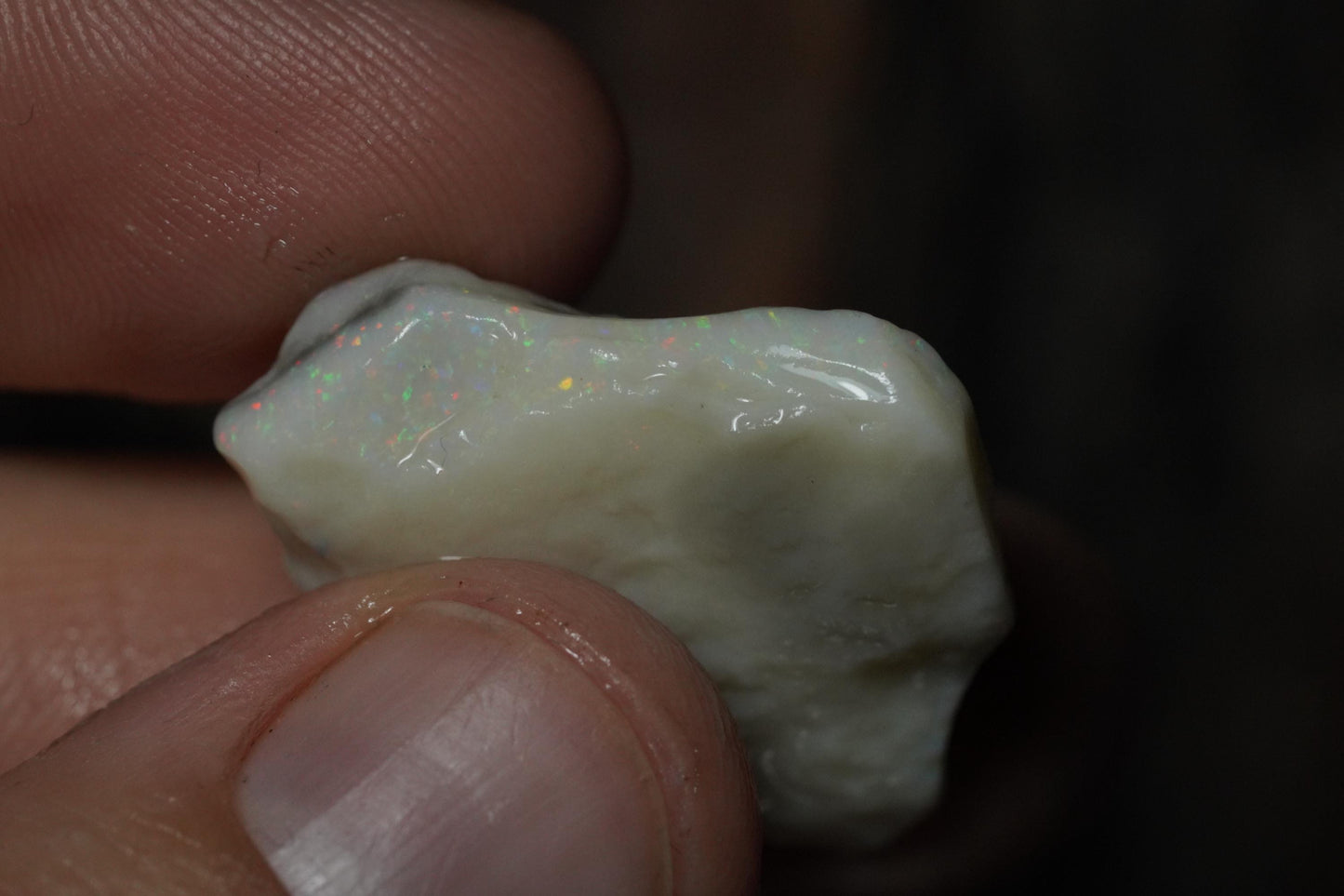 Rough Australian Opal