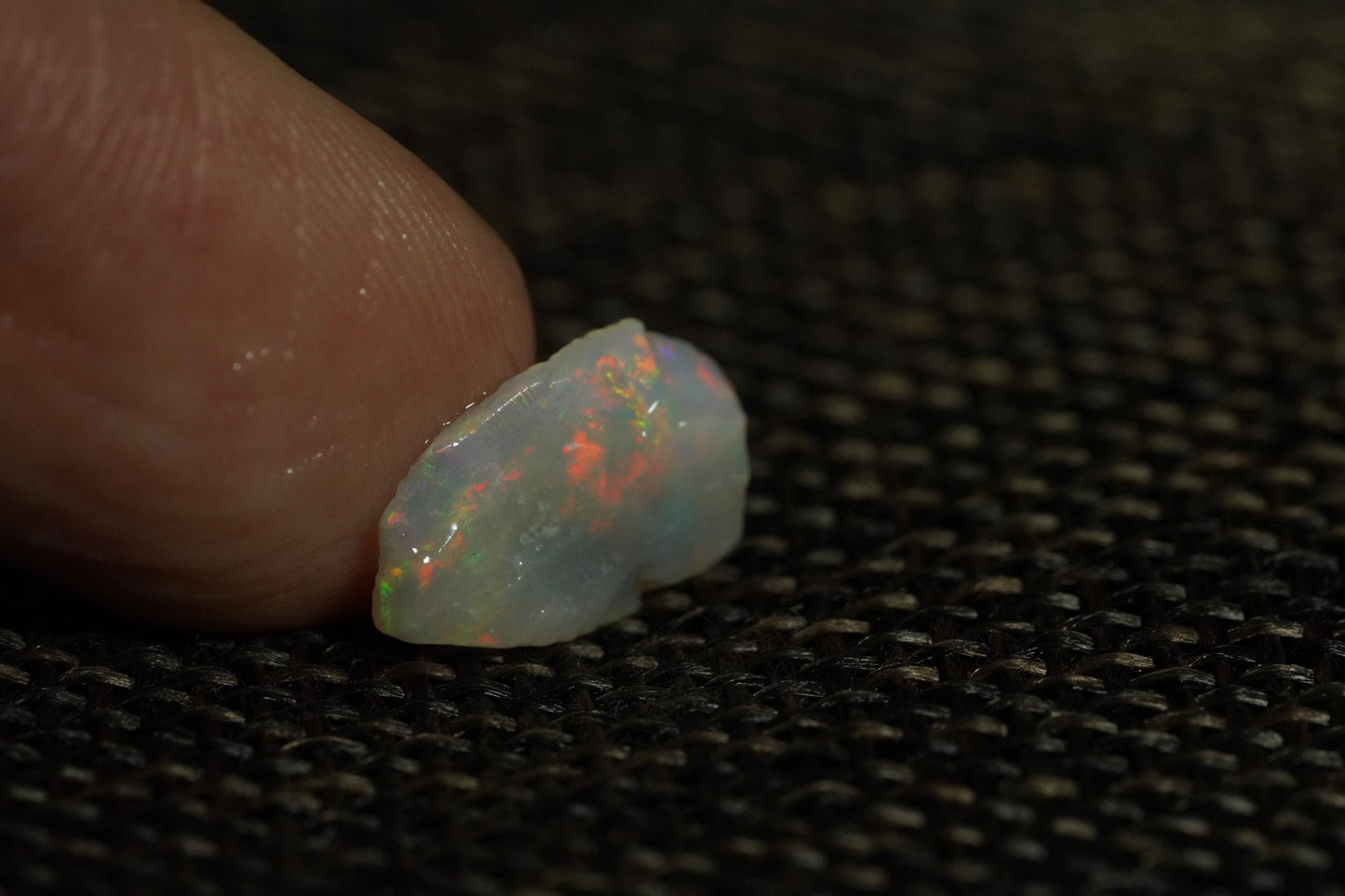 Rough Australian Opal