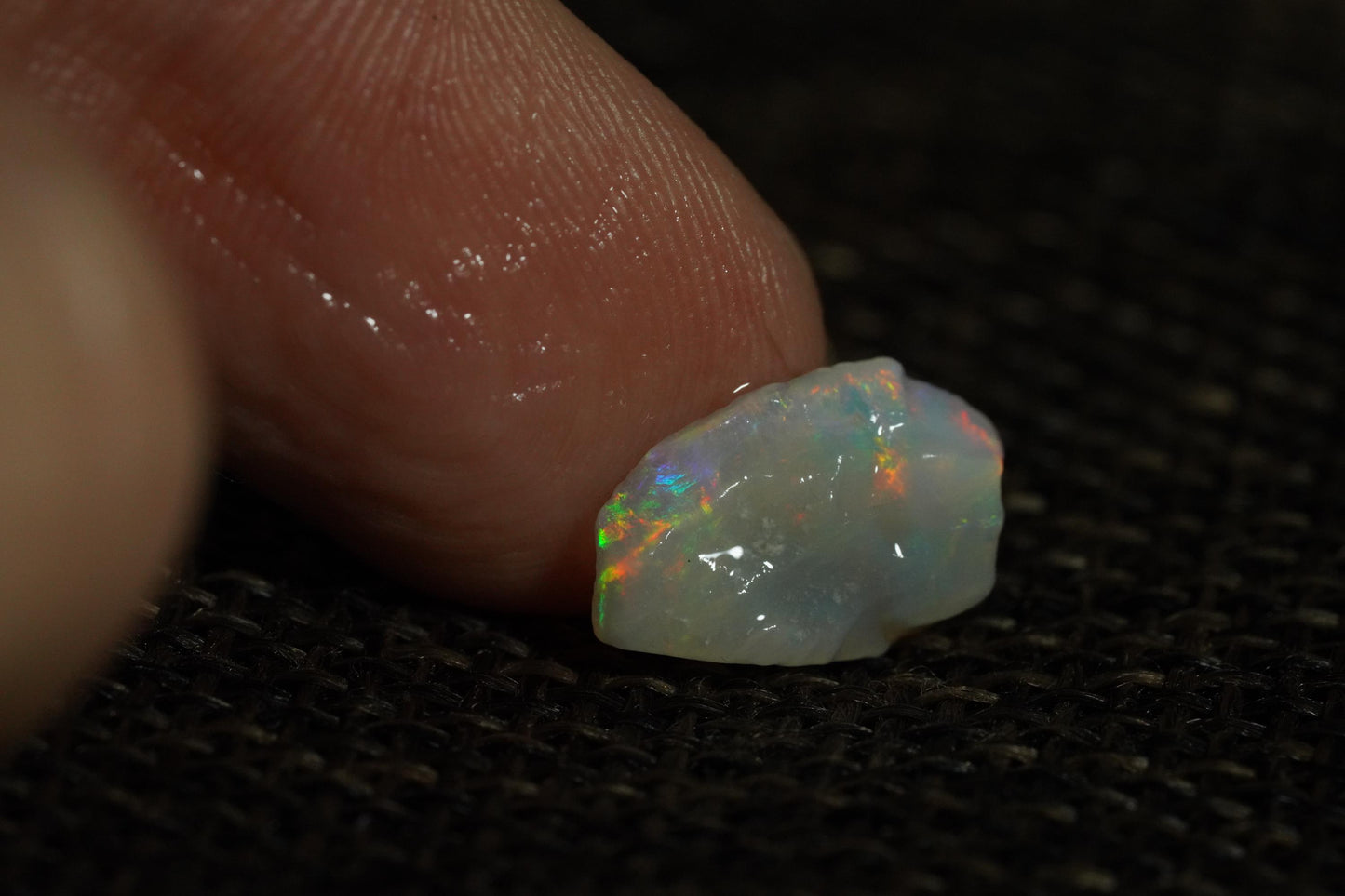 Rough Australian Opal