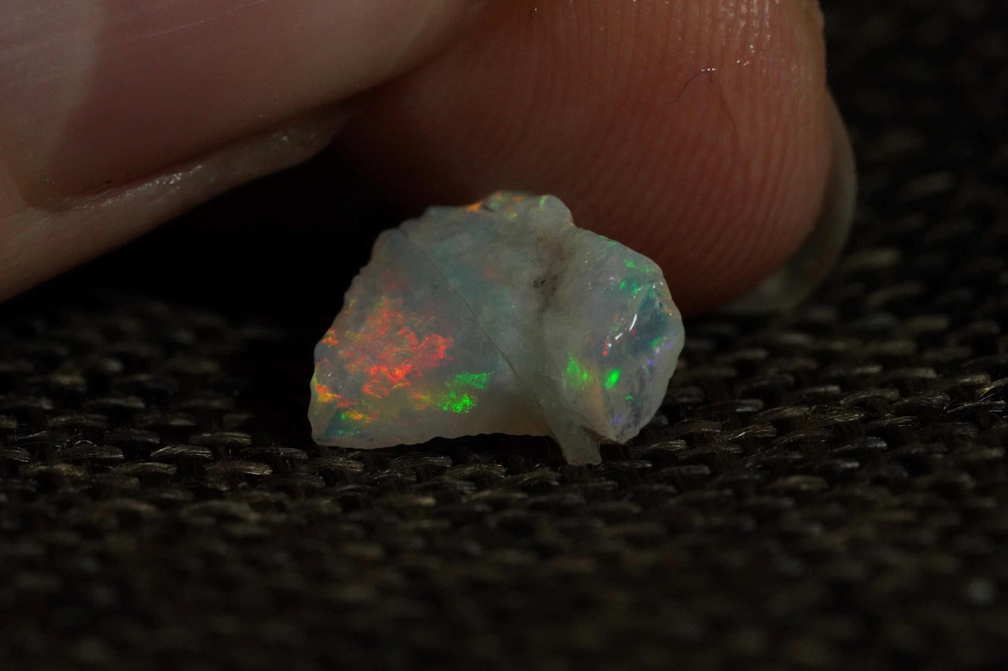 Rough Australian Opal
