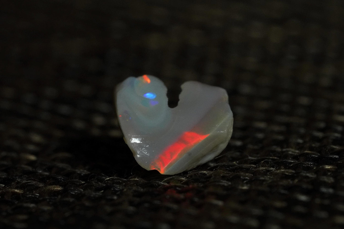 Rough Australian Opal