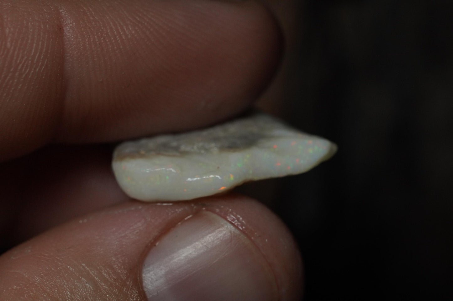 Rough Australian Opal