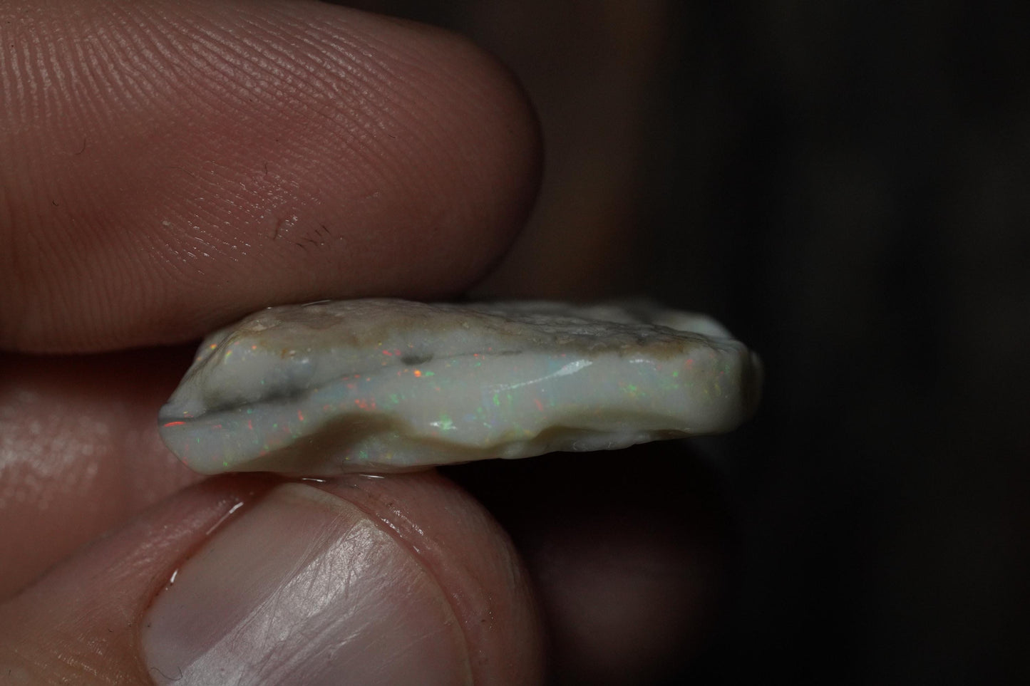 Rough Australian Opal