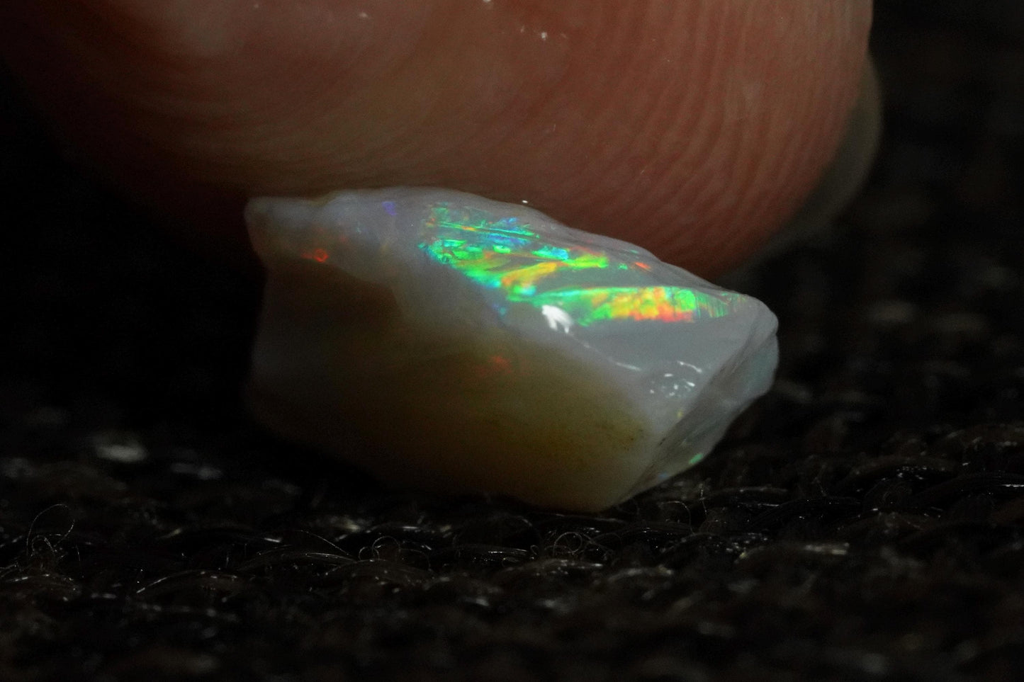 Rough Australian Opal