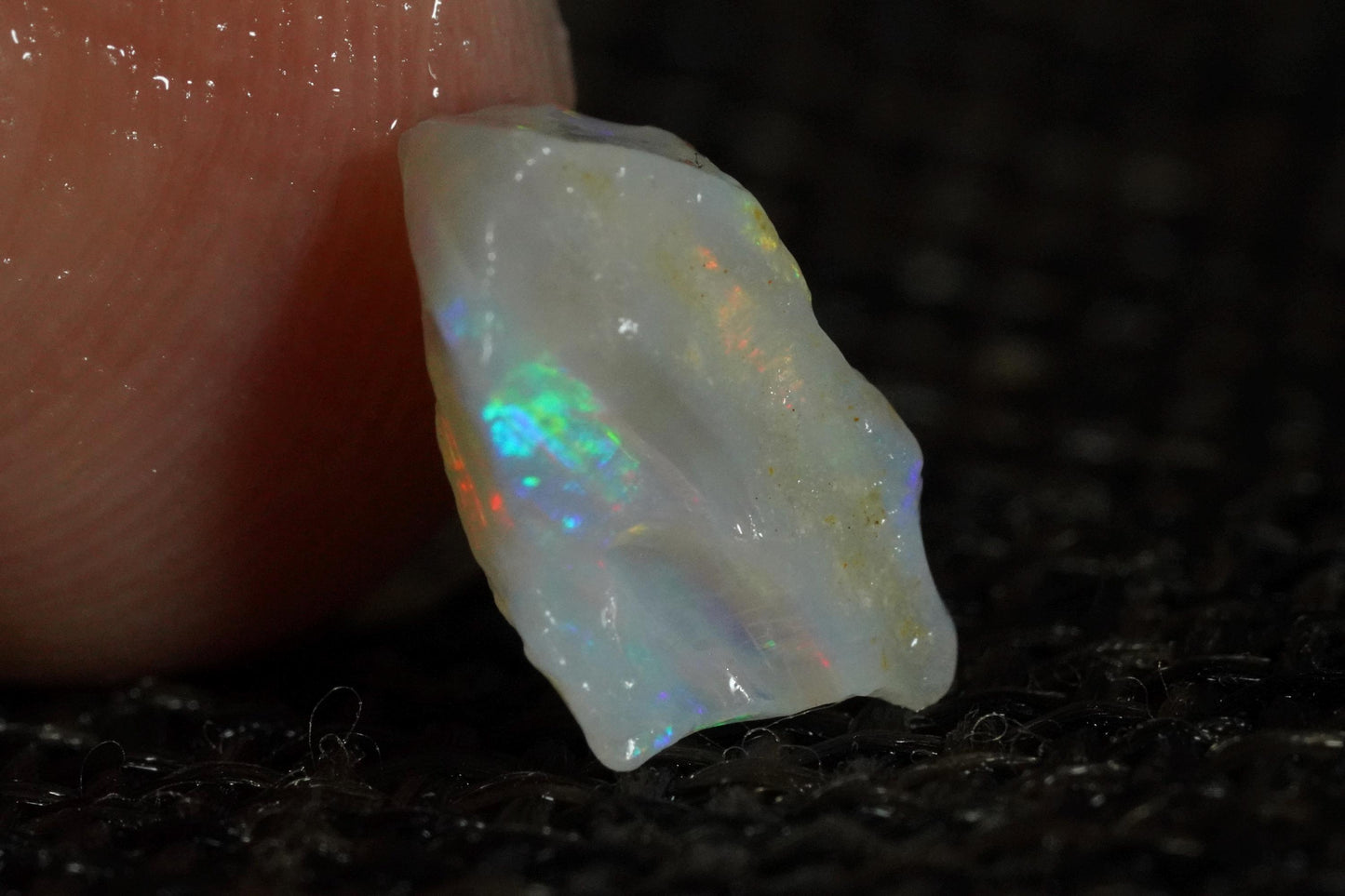 Rough Australian Opal