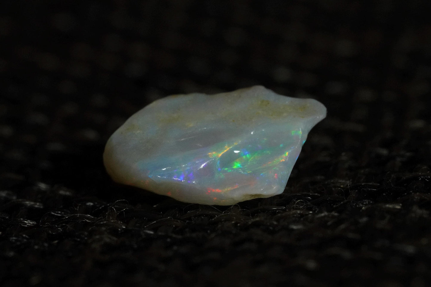 Rough Australian Opal