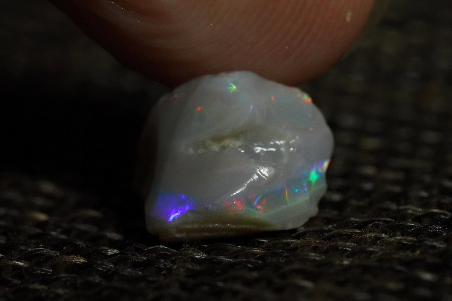 Rough Australian Opal