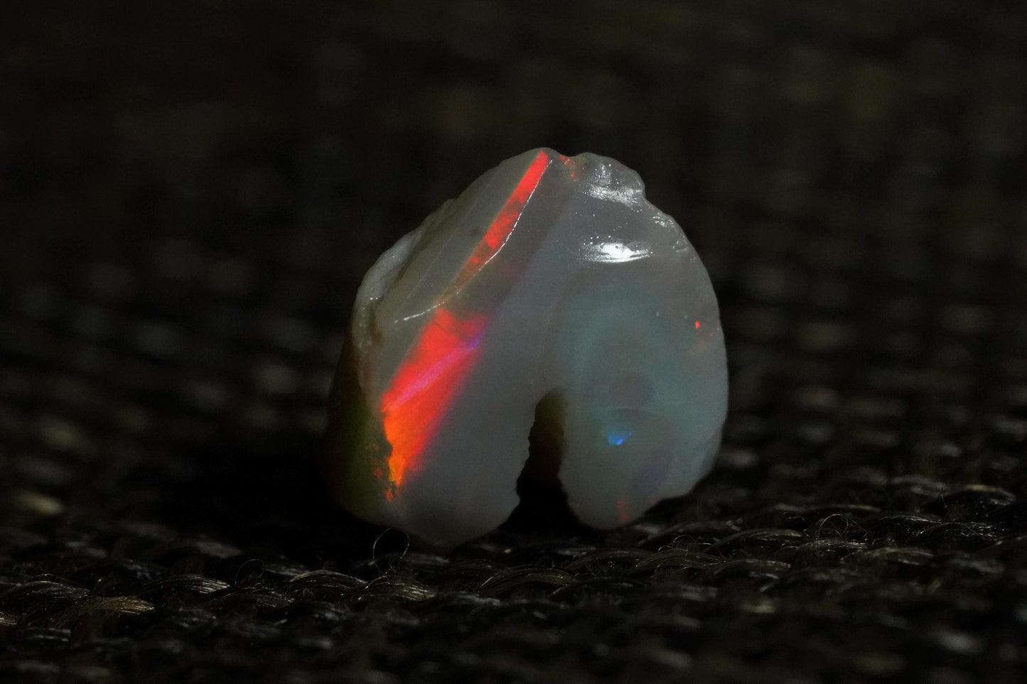 Rough Australian Opal