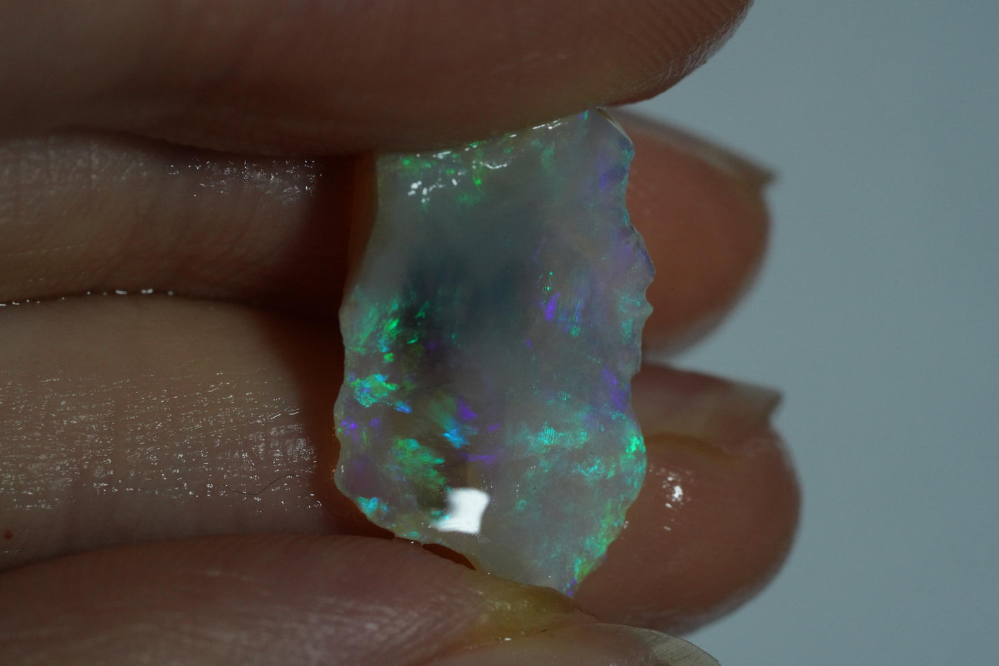 Rough Australian Opal